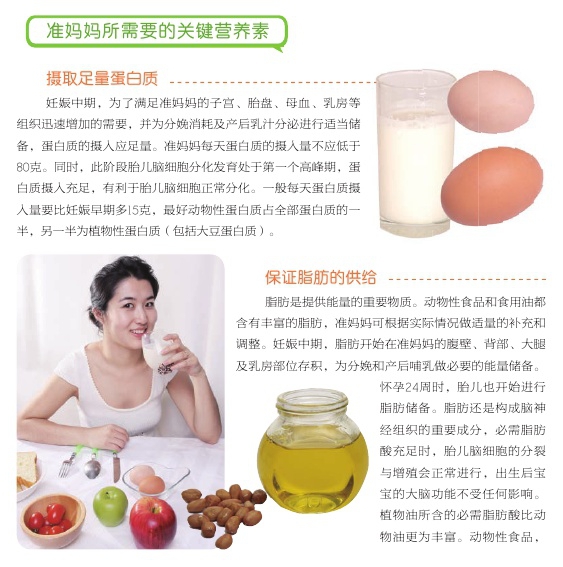 网页制作 第136页