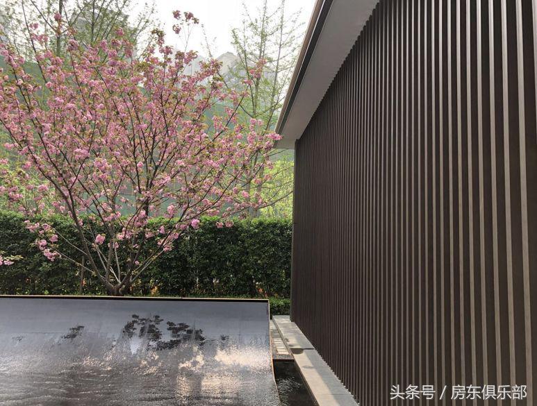 木纹石，一种独特的材料属性与分类探讨