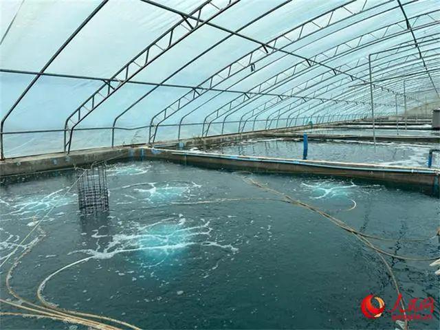 广东水产大棚的建设，探索与实践