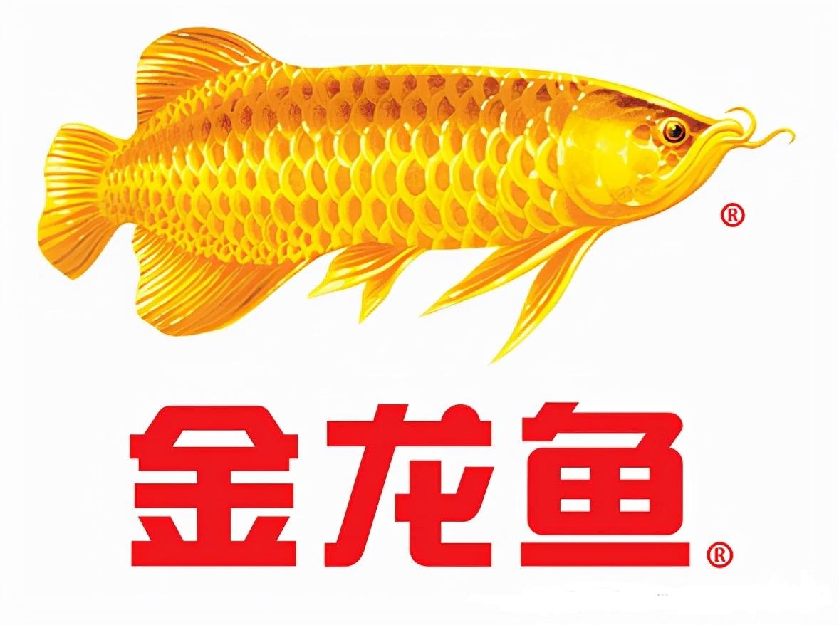 商标图案设计网，打造独特品牌标识的创意平台