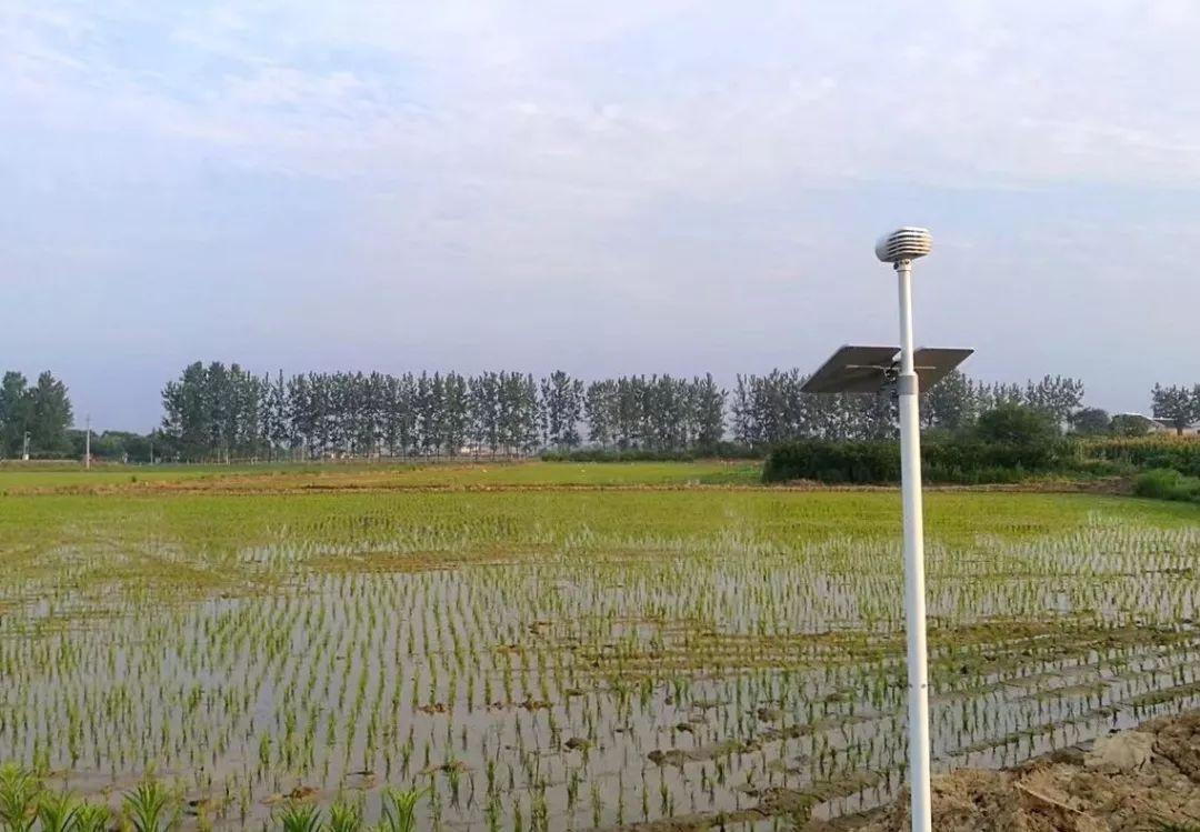 测量测绘网站，数字化时代的地理空间信息枢纽