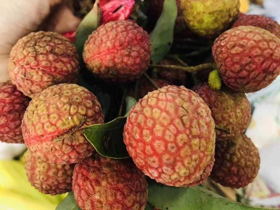众荔商标图案，品牌标识的力量与独特设计魅力
