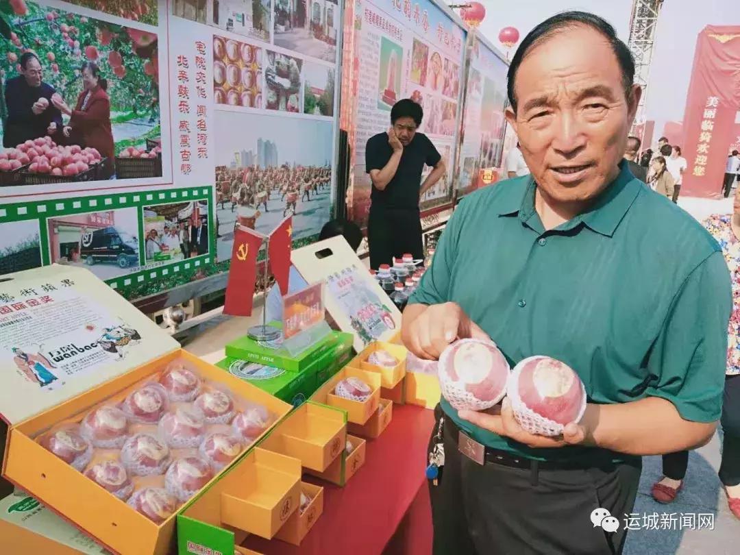 如何通过商标图案查询进行品牌识别与保护——只有商标图案怎么查？