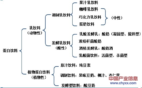 蛋白质饮料的种类与特点