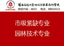 平面设计专业职业评估