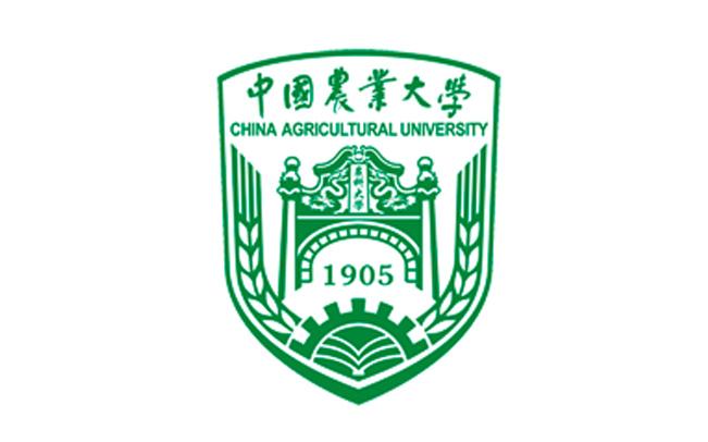 精工表商标图案，经典设计与卓越品质的完美结合