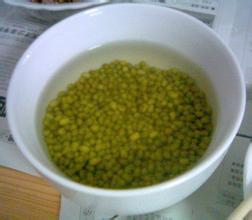 饮料瓶生绿豆芽，环保与美食的完美结合