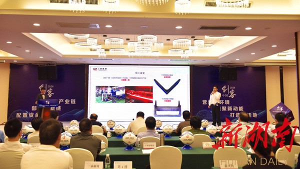 湖南省娄底市创投公司，引领地方经济，助力创业梦想