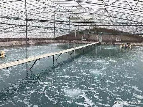 大棚水产养殖，现代水产养殖新模式图片解析