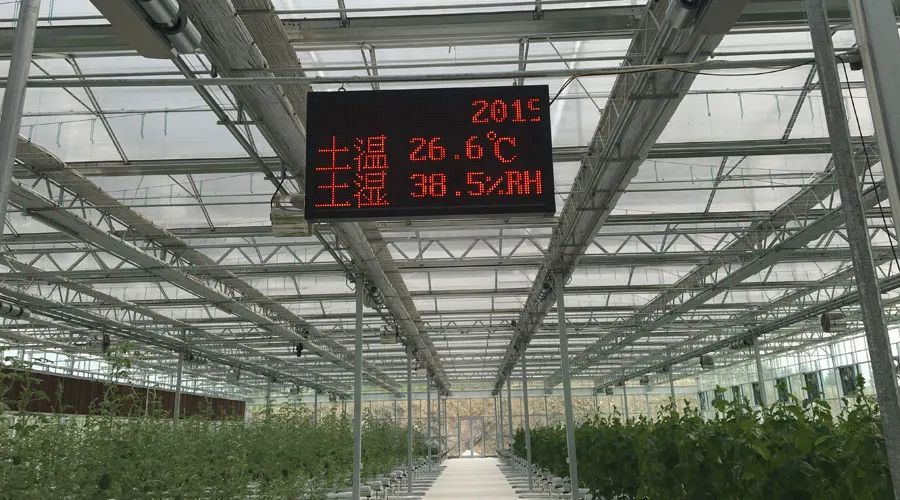 探索水产养殖新领域，20米跨度水产养殖大棚的设计与运营策略