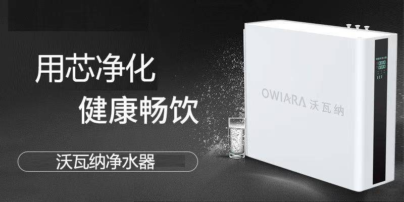 儿童医院专家挂号费，理解其价值与意义