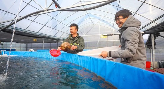 大棚养鱼政策，推动水产养殖业的可持续发展