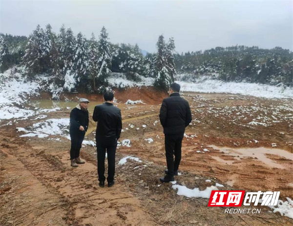 大棚鳖养殖技术与管理