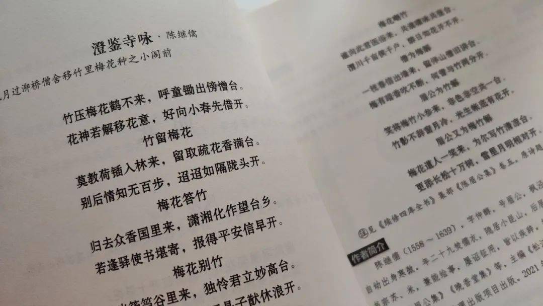 开局诗句，探索诗歌的初始魅力与深层含义