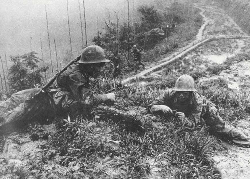 炮兵待遇如何，全面解读与探讨