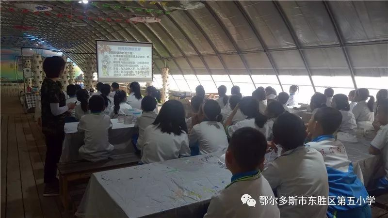 新西兰木工专业的深度探索与实践体验