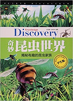 奇思买了一本书，探索未知世界的奇妙之旅