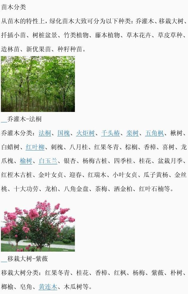 国内珍贵苗木品种概览