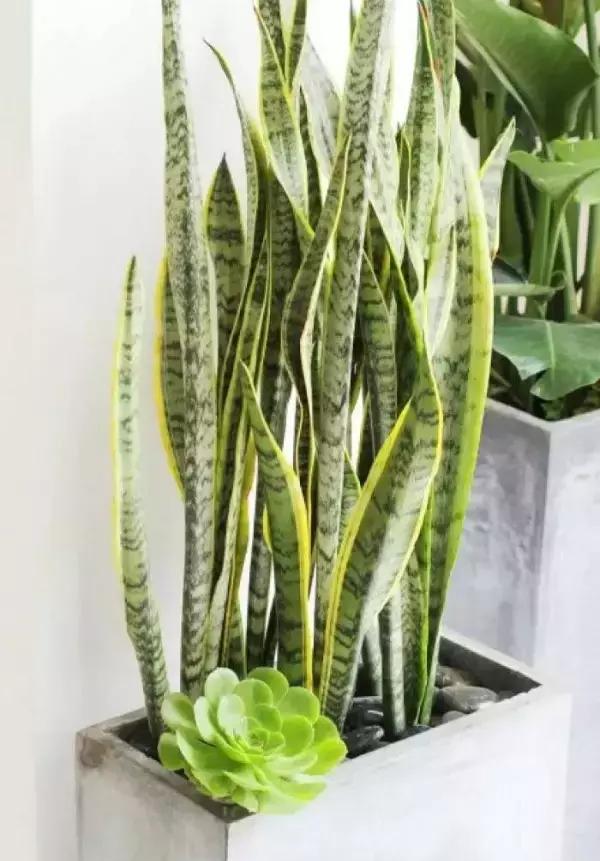 电子产品 第50页