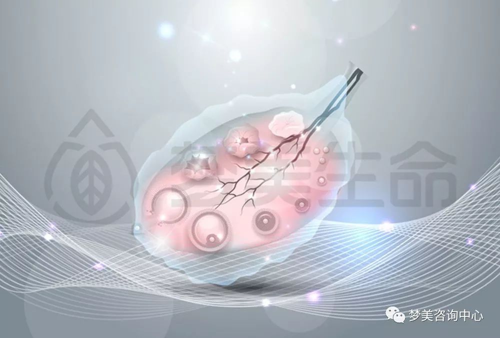 取卵麻影响，深入了解与应对之道
