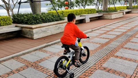 滚珠公路轮组拆解，深入了解轮组内部结构