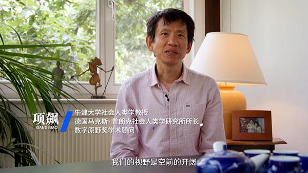 伪物语与QQ表情包，数字时代的文化交流新风尚