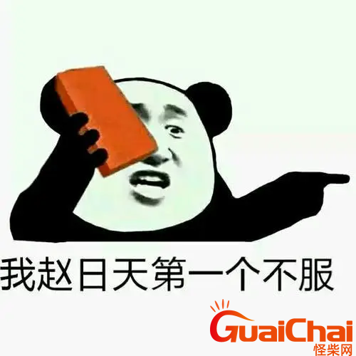 赵日天的表情包，网络文化的新宠