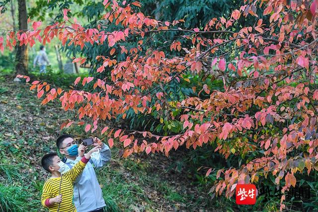 广告业务 第28页