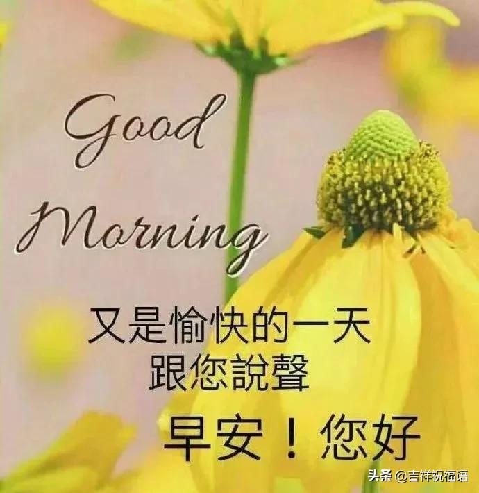 怦然心动一本多少钱，深度解读书籍价值与情感共鸣