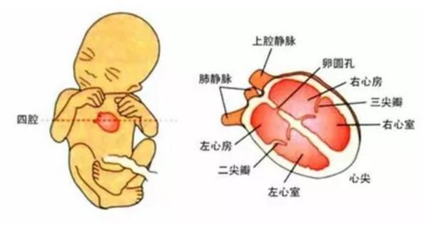 动力堡健身，塑造健康生活的理想之地
