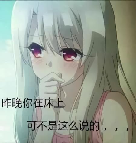 二次元萝莉污表情包，网络文化的新宠