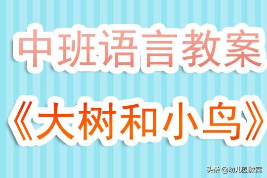 美术教案，小鸟的奇妙世界