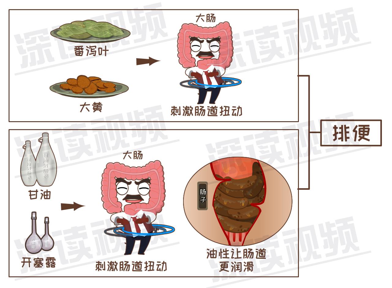 解决取卵后便秘问题的方法与策略