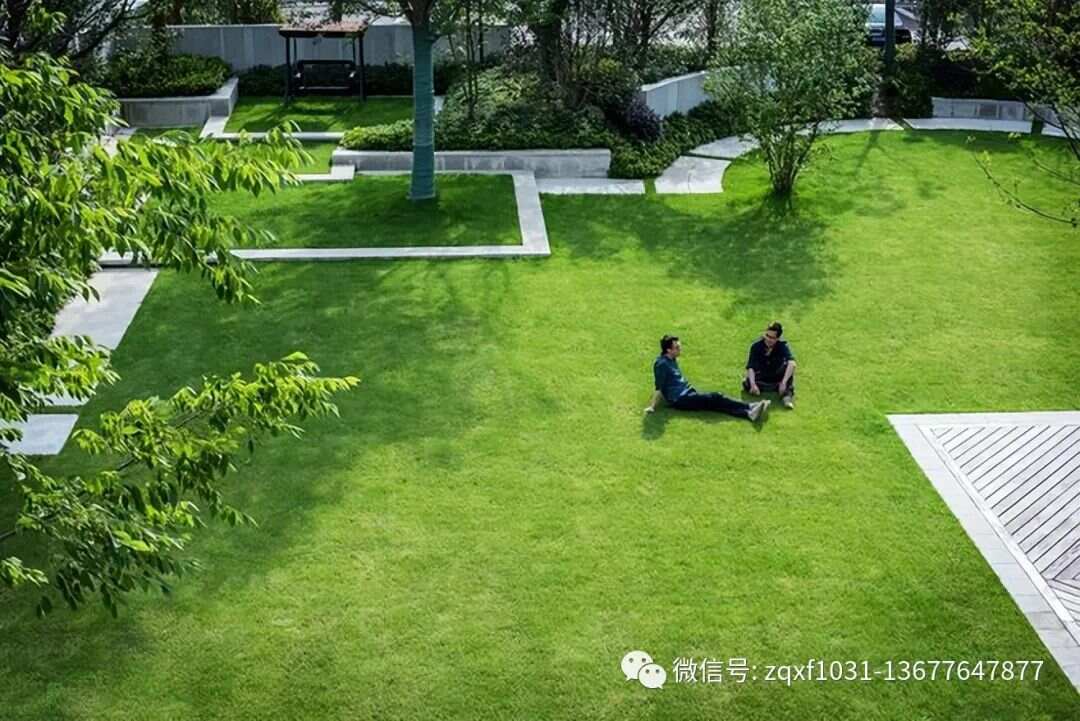 绿化草坪品种，多样性与选择的艺术