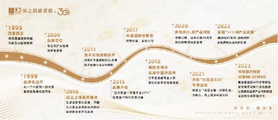 A队阵容变化，深度解析与未来展望