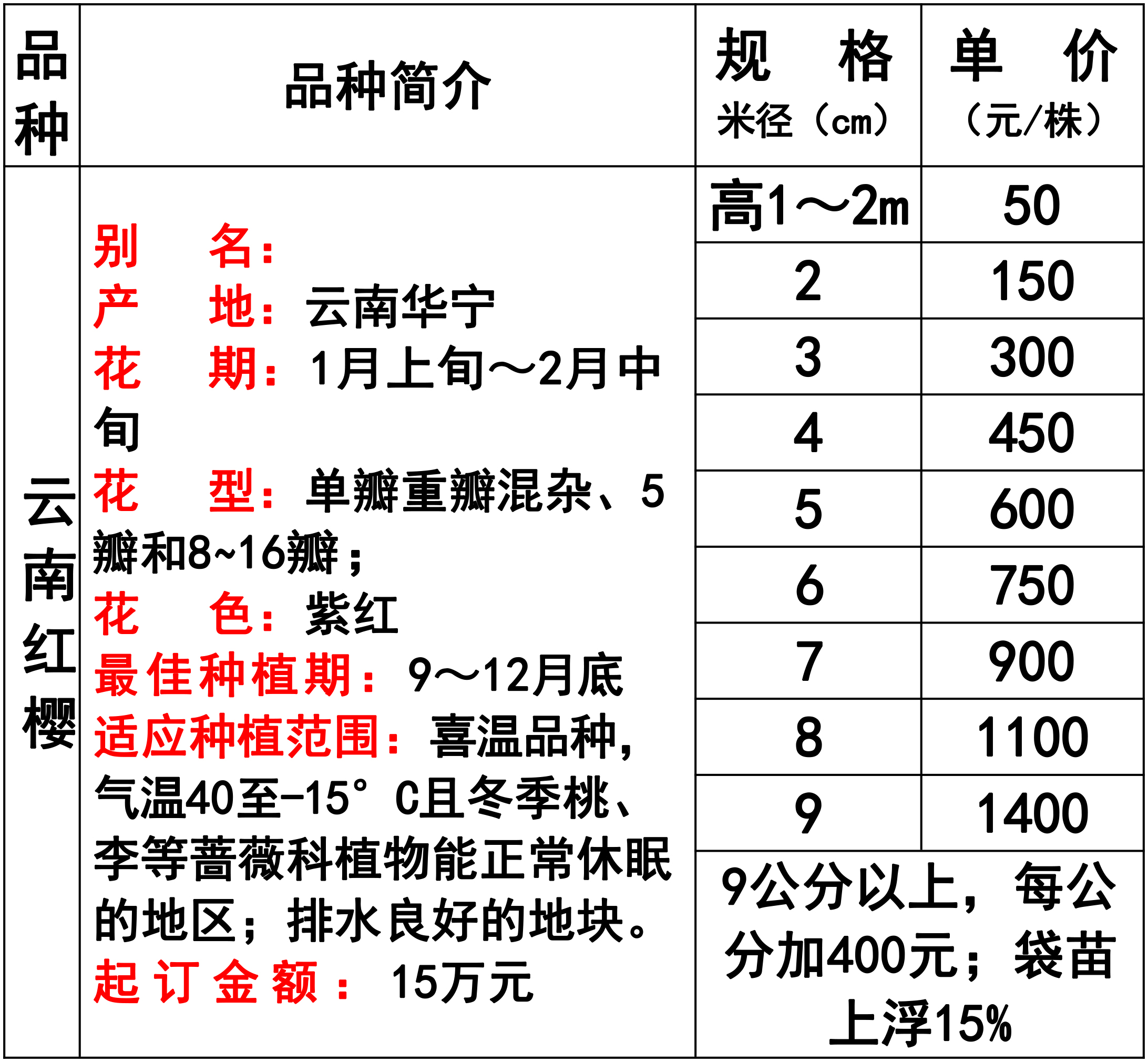 云南各品种樱花苗价格概览