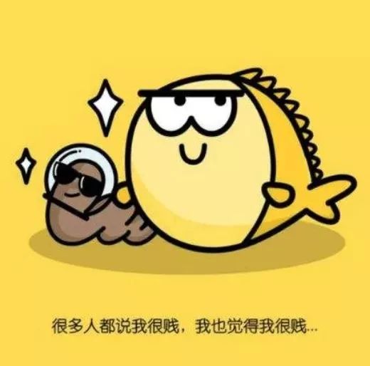 探索小和尚表情包的世界，一种独特的网络文化现象