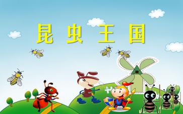 中班PPT美术活动，创意无限，乐趣无穷