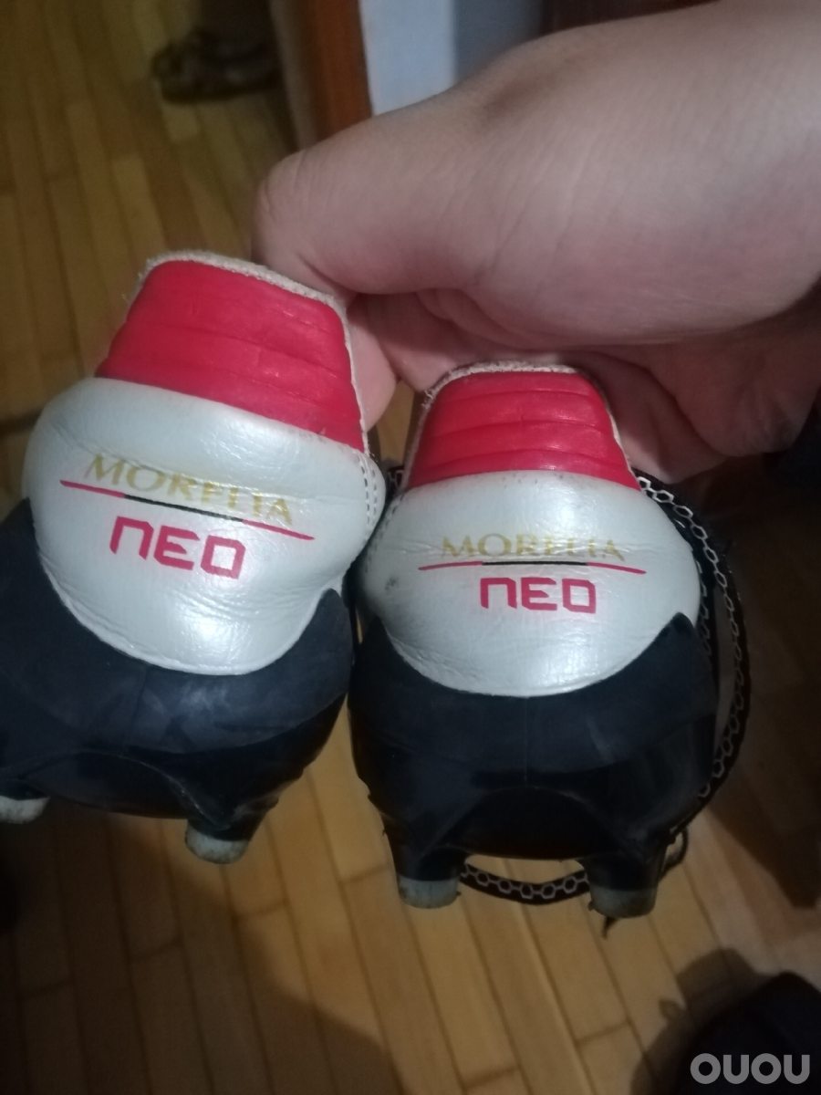 Neo巨目灰真假揭秘，深度解析真伪辨别之道